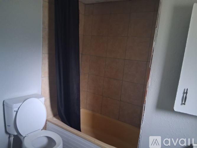 A toilet is next to a closed shower curtain.