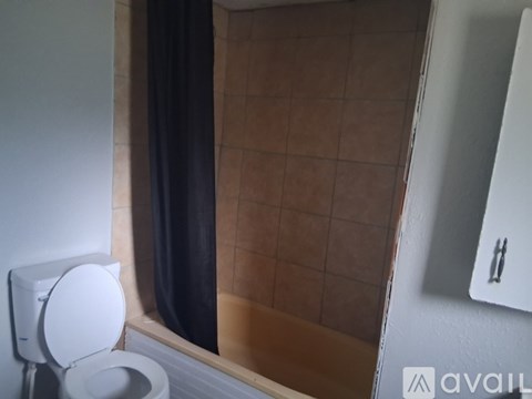 A toilet is next to a closed shower curtain.