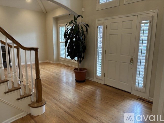 A house interior with a staircase, a potted plant, and a door.