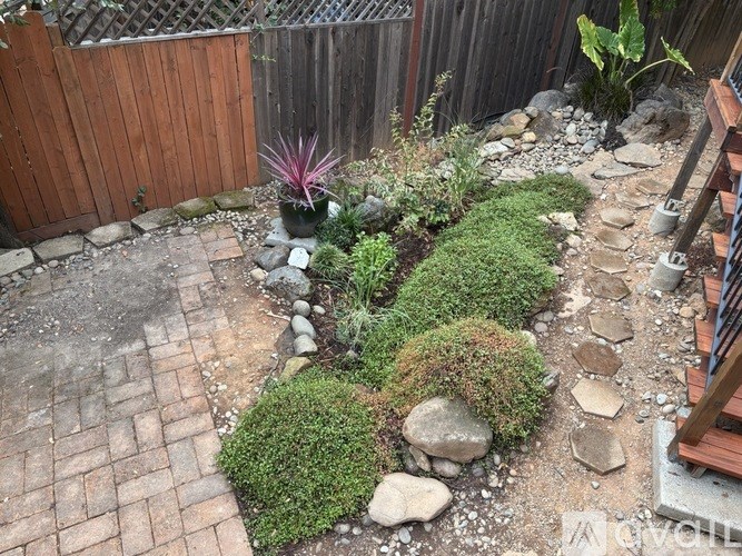 A garden with a variety of plants and rocks.