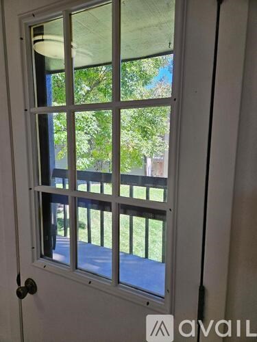 A white door with a window showing a green lawn and trees.