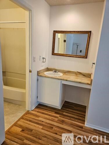 A bathroom with a sink and mirror.