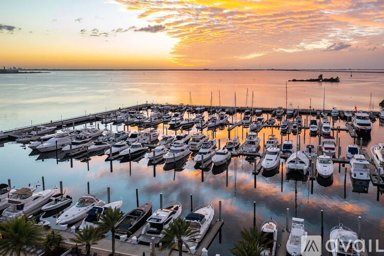A marina filled with lots of boats at sunset.