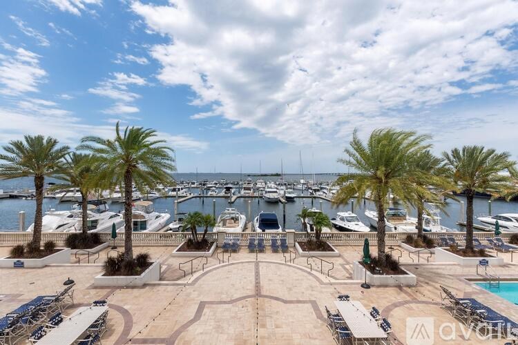 A marina with boats docked in the background and palm trees in the foreground.