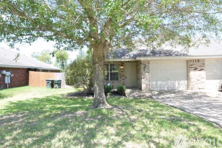 A tree in front of a house with a garage.