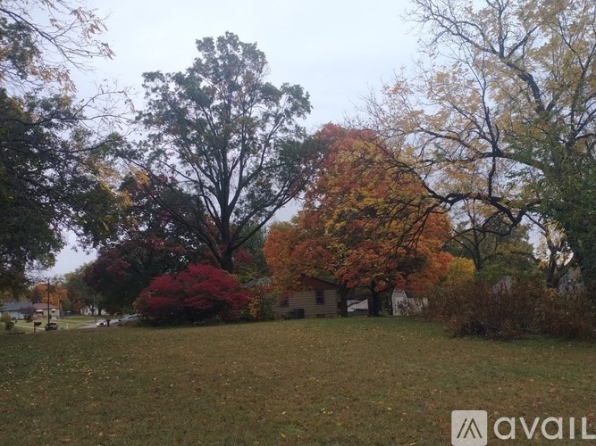 A tree with red leaves stands in a grassy field.