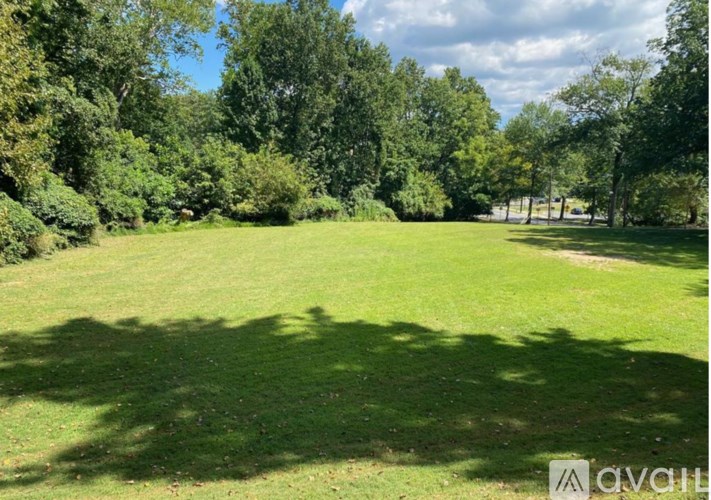 A grassy field with trees in the background.