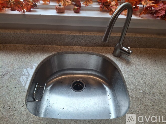A stainless steel kitchen sink with a faucet.