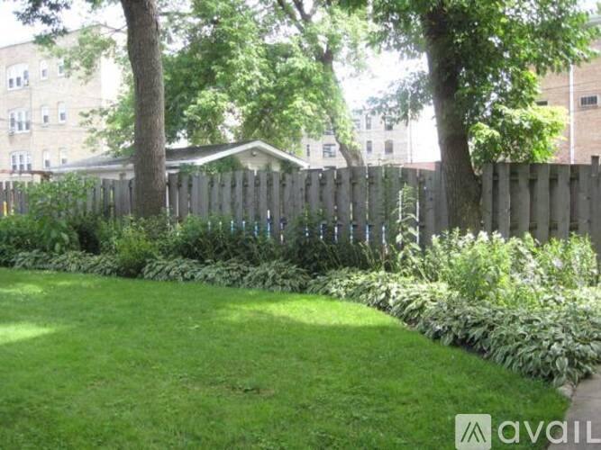 A backyard with a fence and green grass.