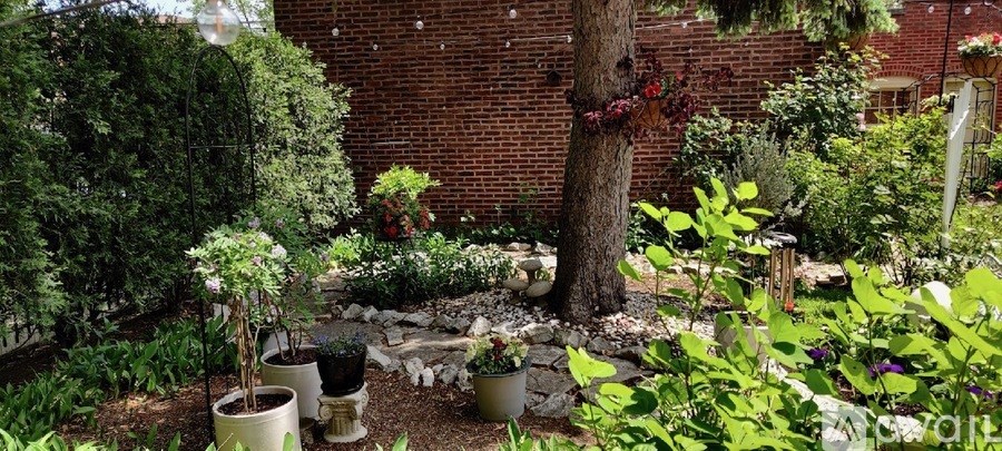 A garden with a tree in the middle and a brick wall behind it.