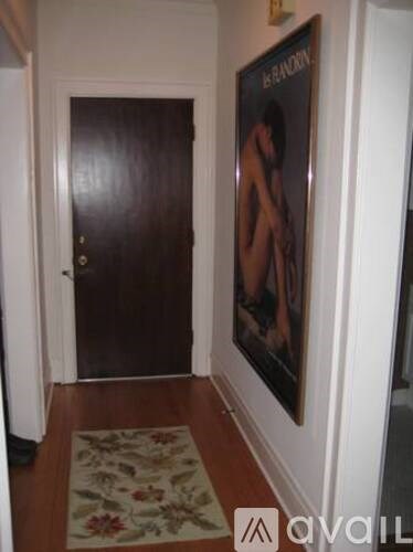A hallway with a brown door and a picture of a naked woman on the wall.