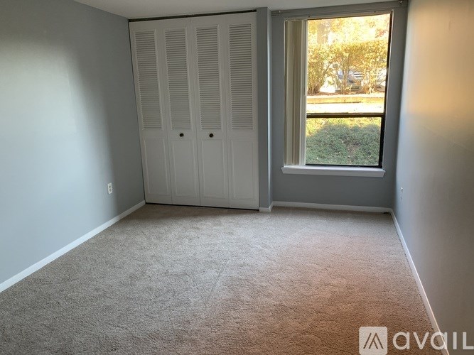 A room with a carpeted floor, a window with a view of a tree-lined street, and a white closet with two doors.
