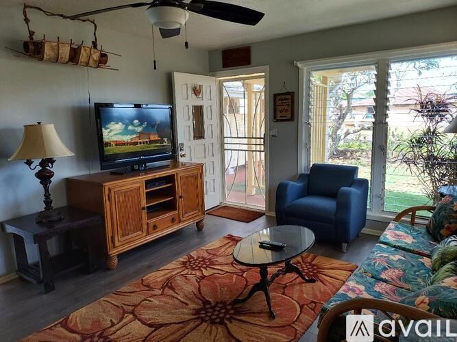 A living room with a television, a chair, and a rug.