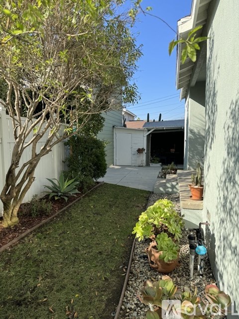 A well-kept garden with a variety of plants and a shed in the background.