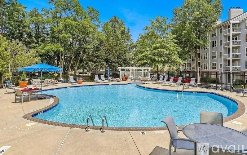 A swimming pool surrounded by trees and chairs.