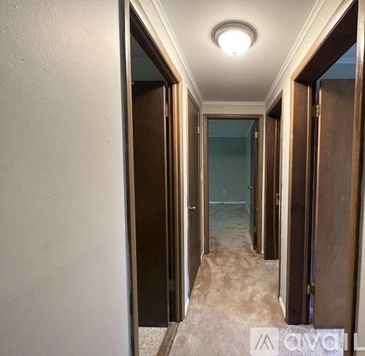A hallway with a carpeted floor and a white ceiling with a light fixture.
