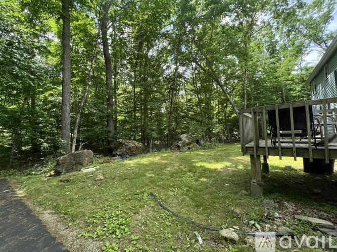 A wooden deck is surrounded by trees in a lush green forest.