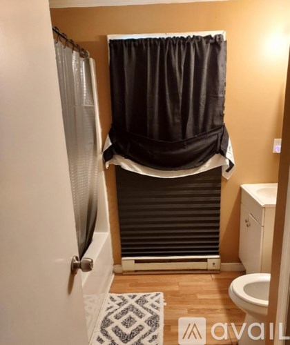 A bathroom with a toilet, a shower curtain, and a rug.