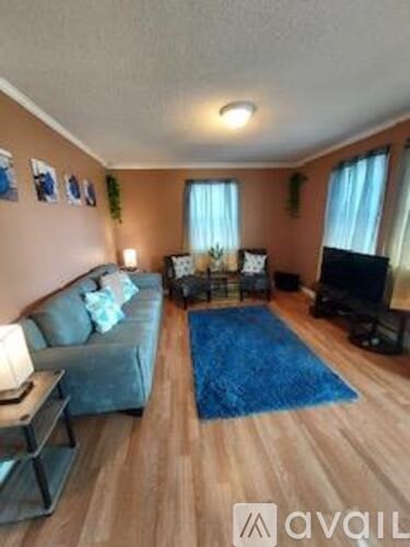 A living room with a grey couch, a blue rug, and a television.