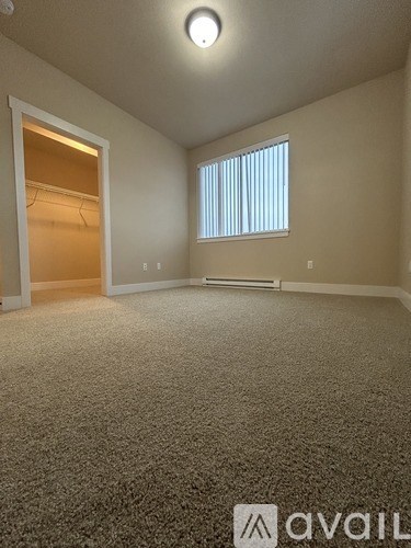 A carpeted room with a window and a door leading to another room.