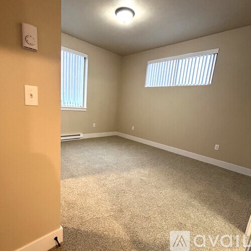 A room with a carpeted floor, two windows with blinds, and a ceiling fan.