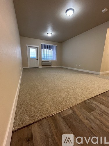 A room with a carpeted floor and a door leading to a balcony.