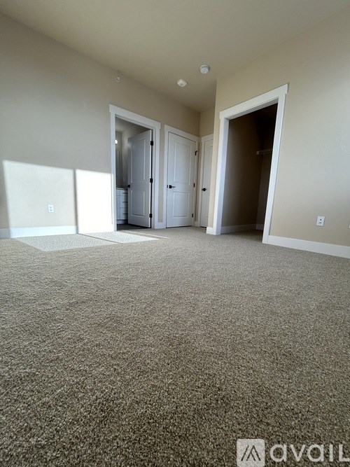 A carpeted room with two doors and a window.