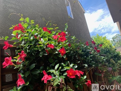 A bush with red flowers is in front of a grey building.