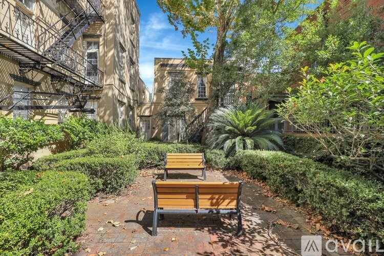 A park bench sits in the middle of a pathway with green shrubbery on either side.