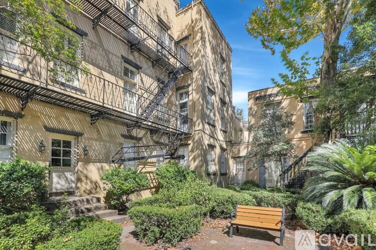 A sunny day in a courtyard with a bench and a tree.