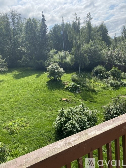 A lush green field with trees in the background and a wooden fence in the foreground.