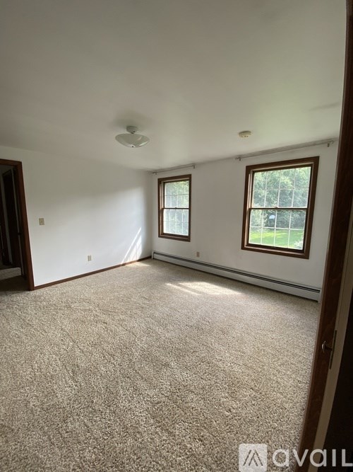 A room with carpeted floor, two windows, and a ceiling fan.