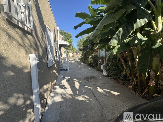 A sunny day in a quiet residential street with a banana tree on the right.