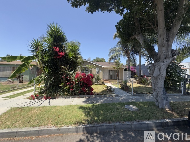 A residential area with a house, palm trees, and a street.