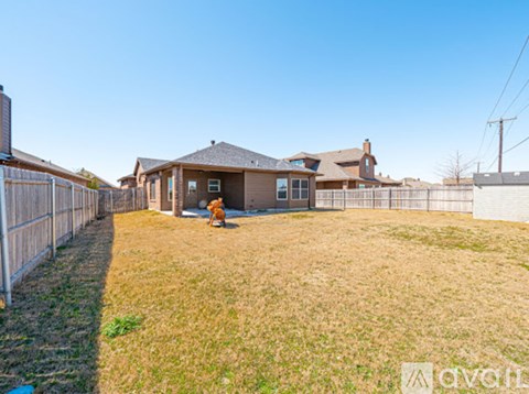 A dog is standing in the yard of a house.