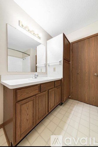 A bathroom with a sink, mirror, and wooden cabinets.