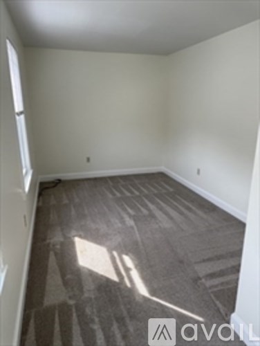 A room with a carpeted floor and a window letting in sunlight.