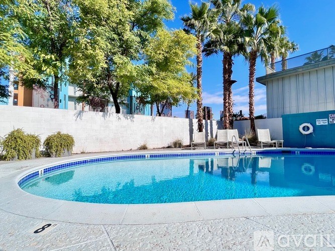 A pool surrounded by palm trees and a white wall.