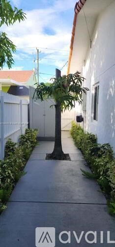 A tree in a pot is on a concrete path.