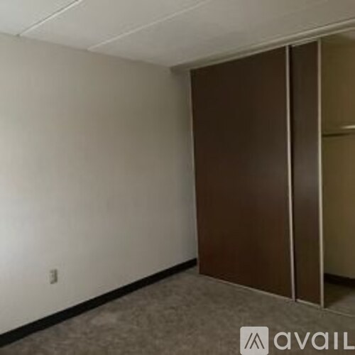 A room with a brown closet and a carpeted floor.