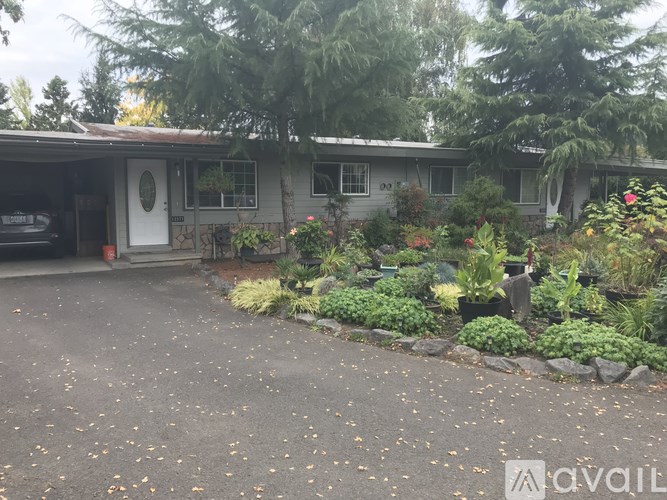 A house with a driveway and a garden in front.