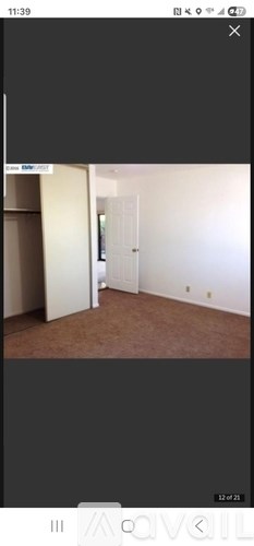 A room with a white door and a brown carpet.