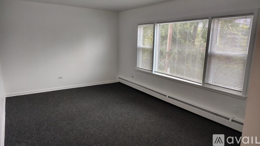 A room with a window and a radiator.