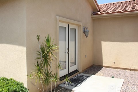 A small patio with a door and a plant.