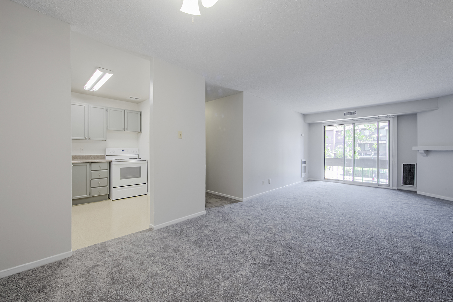 Living Room Looking into Kitchen