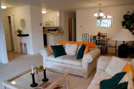 Apartment Living Area