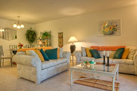 Apartment Living Area