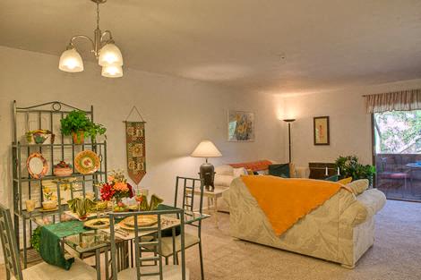 Apartment Living Area