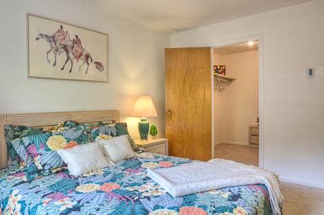 Master Bedroom w/walk-in closet