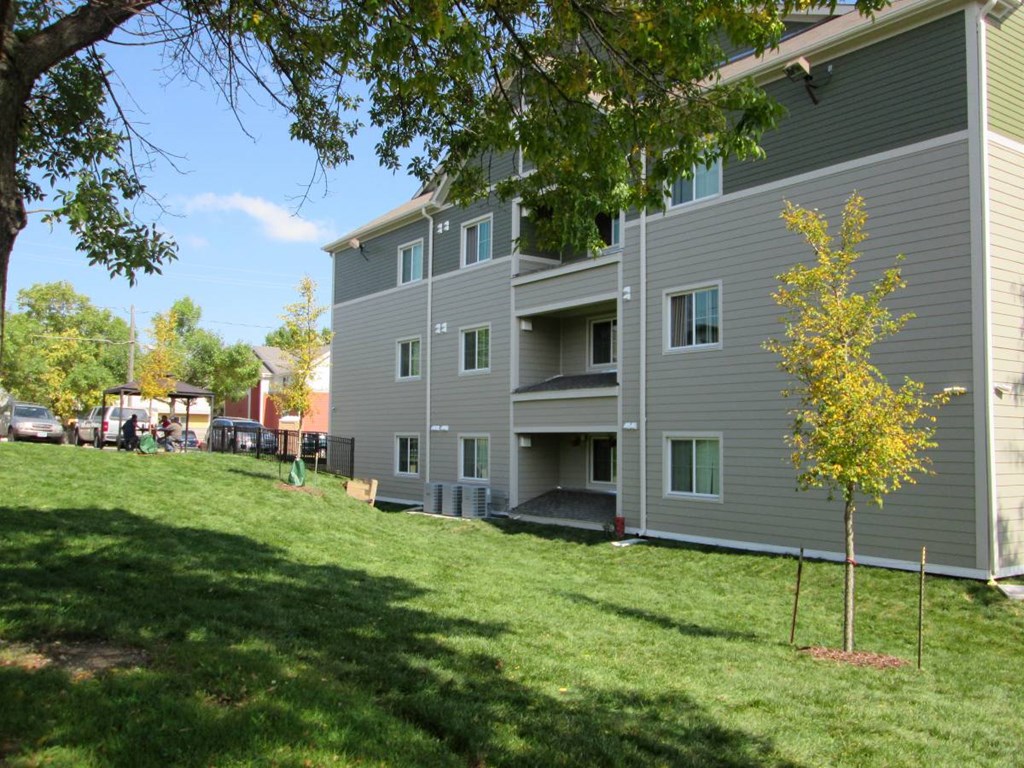 A tree with yellow leaves stands in front of a grey apartment building.